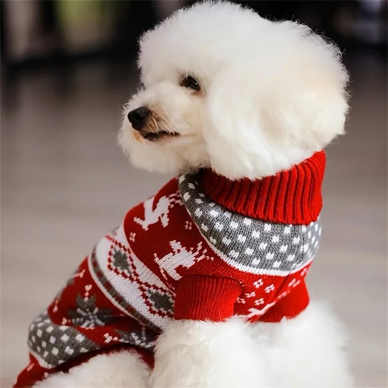 Jersey de Navidad para perro